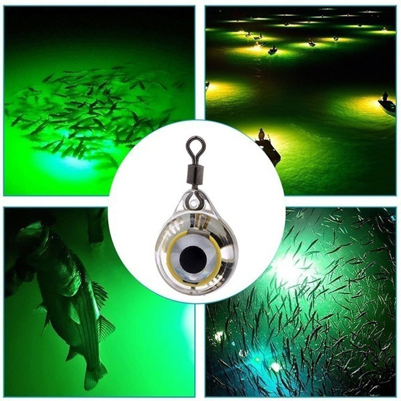 FLYSAND – lumière de nuit fluo - Fishing Lure Accessories avis et prix